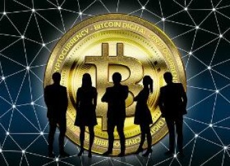 NOBS是什么币？NOBS币上线交易平台和官网总量介绍